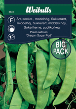 Frö Sockerärta ‘Oregon Sugar Pod’ Weibulls